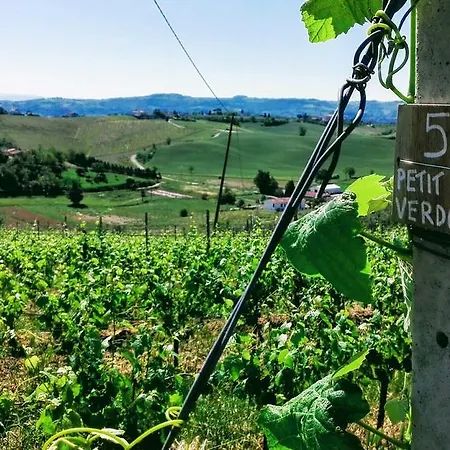 Farm stay Luggiano Vinci