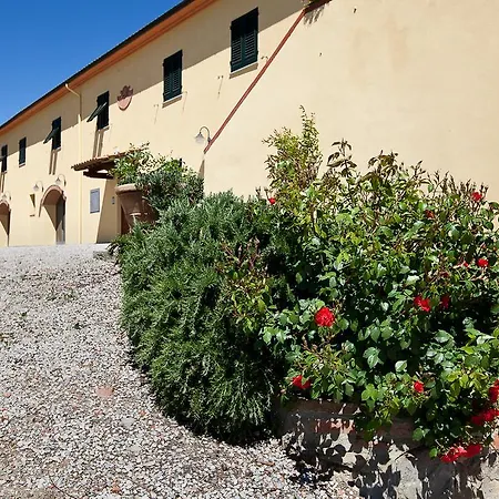 Luggiano Vinci